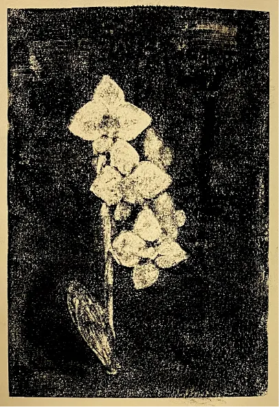Monotype